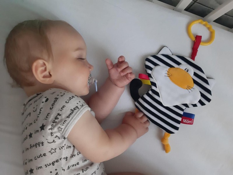 Szeleścik Kot Pasiak biało-czarny 923 Mom's Care