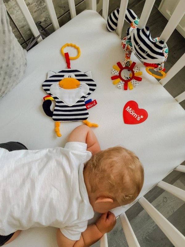 Szeleścik Kot Pasiak biało-czarny 923 Mom's Care