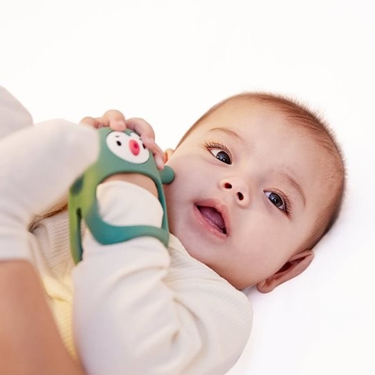 Gryzak Silikonowy Pingwin Buddy Pine Green Smily Mia