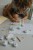 IMG_5765_Easy-Resize.com.jpg