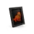 4_575c0fdf-56ad-4145-bd36-e4c0c25b784b.webp