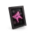 7_2f90a5d5-8de0-4e3b-b590-222ed707dc89.webp