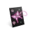 5_75801d53-79cd-4824-9892-d1c0c3213de8.webp