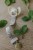 Elodie Details - smoczek silikonowy Binky Bow - 0-6m, oat white