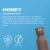 SBV44BROWNBEAR3.webp