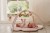 activity-playmat-fairy-garden-ld9017-5 - Large.jpg