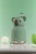 IBV44KO_8.webp