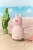 IBV44BU_205.webp