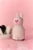 IBV44BU_206.webp