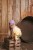pol_pl_Ki-ET-LA-Okulary-przeciwsloneczne-Lion-0-1-Bubble-Gum-909_6.jpg