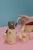 etui-asobu-bestie-sling-zolte (6).webp