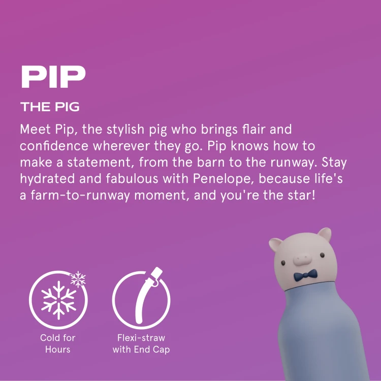 SBV44PIGGY5.webp