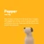 28.webp