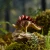 15-scaled_024a5dce-c19c-49cb-b16e-ad696007ea1a.webp