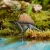 3-scaled.webp