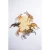 MD1382-16-scaled.webp