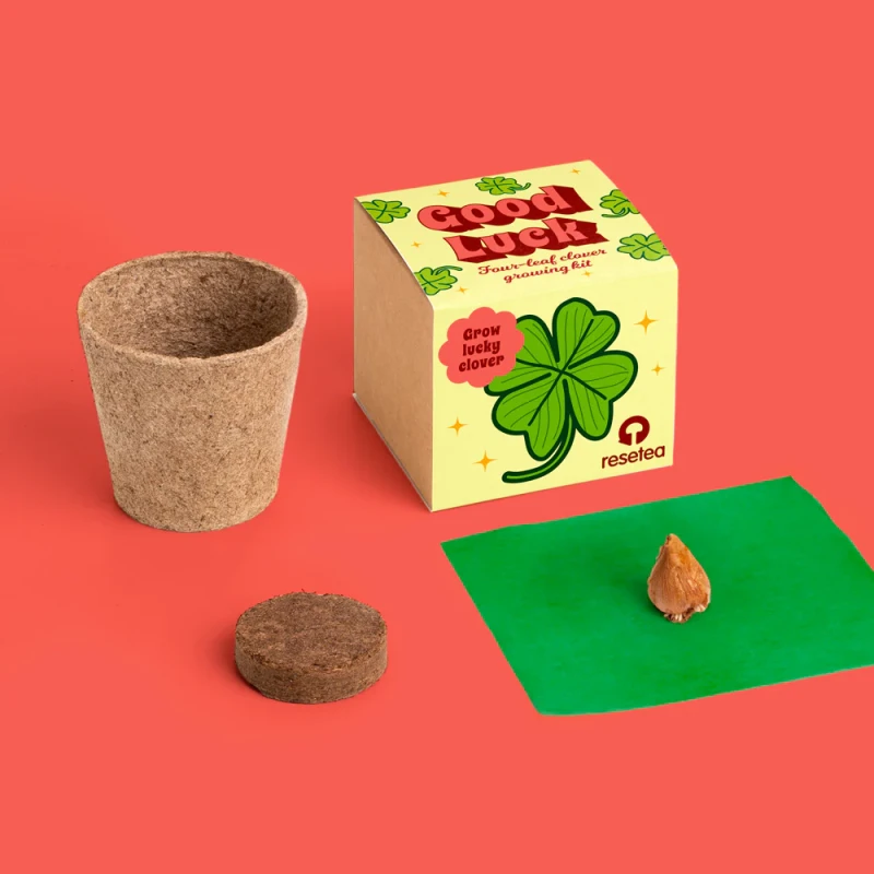 Good Luck – zestaw do uprawy czterolistnej koniczyny Resetea