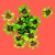 Erst665_203.webp