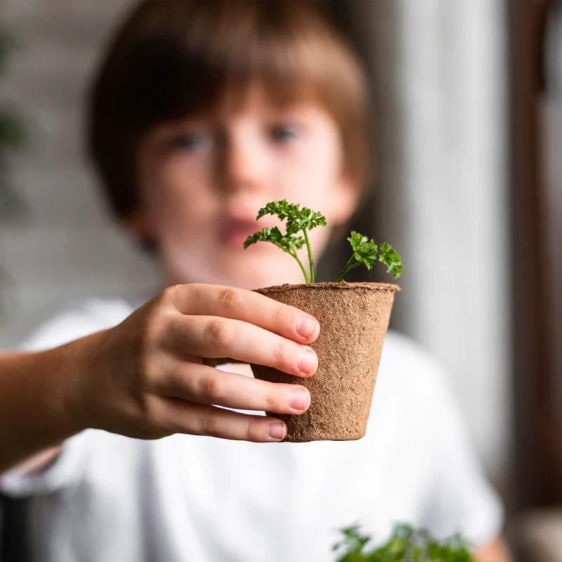 My First Crops - Kwiaty Resetea
