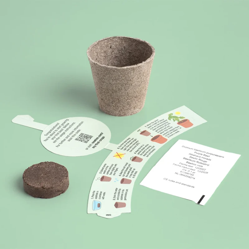 My First Crops - Bazylia Resetea