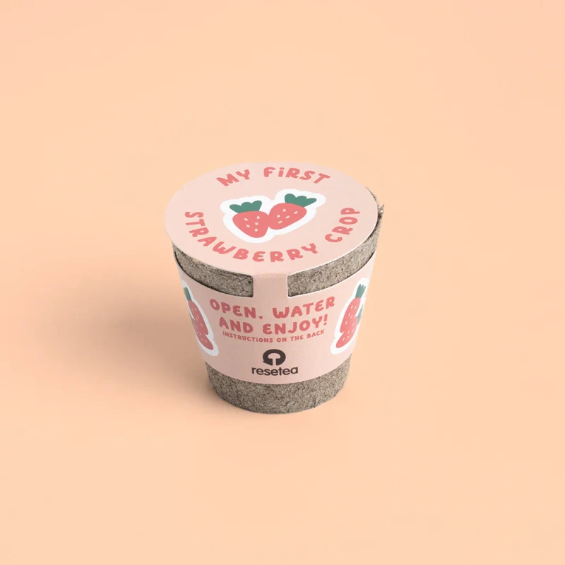 My First Crops - Truskawka Resetea