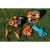 Terenowa-gra-zrecznosciowa-Waboba-Battlebird_5B111305D_1200.webp