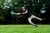 Frisbee-Waboba-Wingman-Pro-Rainbow-Dye_5B107445D_1200.webp