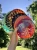 Frisbee-Waboba-Wingman-Artist-Cheetah_5B109315D_1200.webp