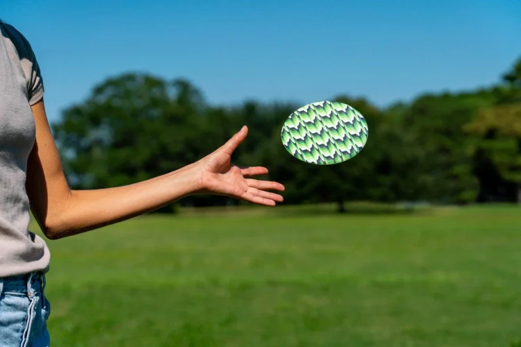 Frisbee-Waboba-Wingman-Pi-elated_5B109085D_1200.webp
