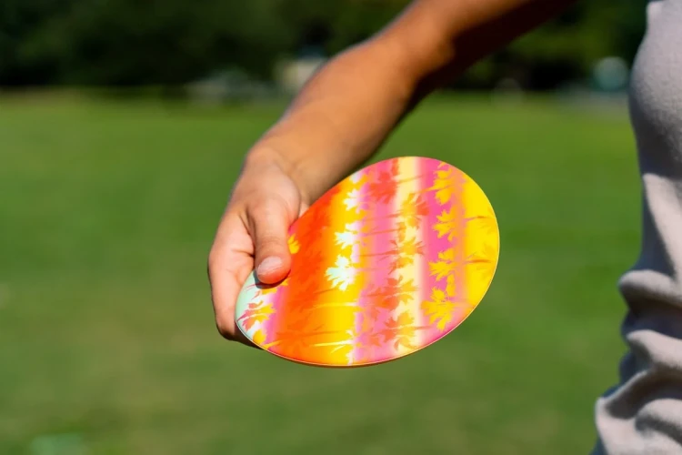 Frisbee-Waboba-Wingman-Palm-Rows_5B109175D_1200.webp