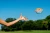 Frisbee-Waboba-Wingman-Palm-Rows_5B109245D_1200.webp