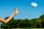 Frisbee-Waboba-Wingman-Palm-Rows_5B109265D_1200.webp