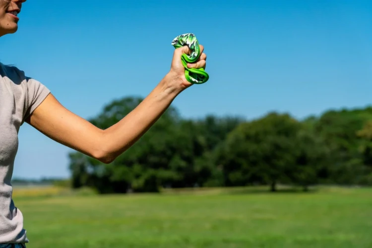 Frisbee-Waboba-Wingman-Palm-Rows_5B109275D_1200.webp