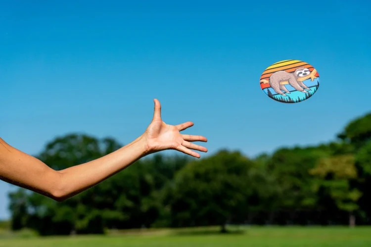 Frisbee-Waboba-Wingman-Retro-Palm_5B108705D_1200.webp