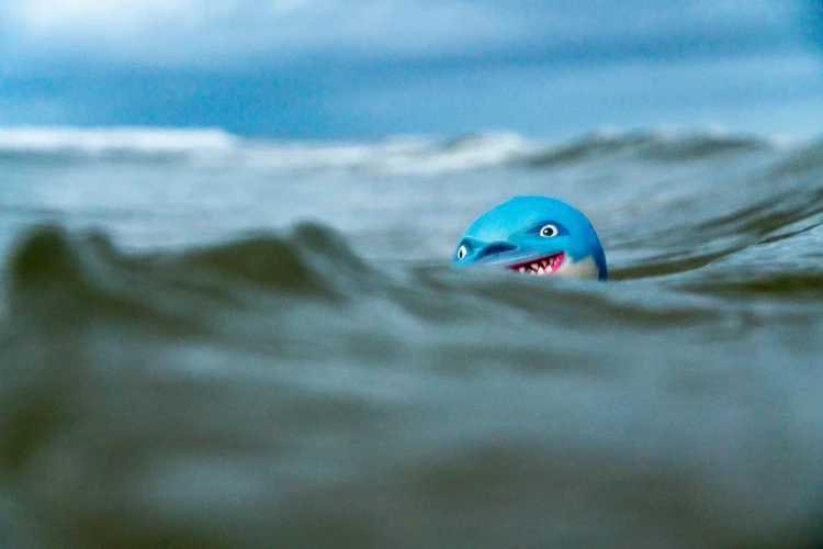 Pileczka-Waboba-Sharky-Shark_5B110295D_1200.webp