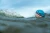 Pileczka-Waboba-Sharky-Shark_5B110325D_1200.webp