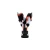 315C06_204.webp