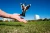315C06_207.webp