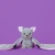 pluszak-obciazeniowy-nietoperz-berkeley-hugimals (6).webp