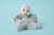 pluszak-obciazeniowy-pingwin-pax-hugimals (4).webp