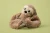 pluszak-obciazeniowy-leniwiec-sawyer-hugimals (4).webp