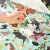 15_54fd6c43-8887-42cb-85d4-7791185aed5b.webp