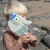 S61KVBBE_14.webp