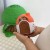 image00019.jpeg