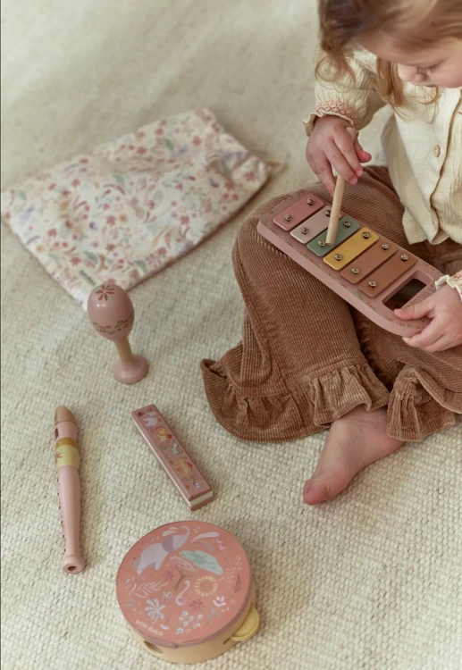 music-set-pink-safari-friends-LD7474-1 - Large3.jpg