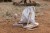music-set-pink-safari-friends-LD7474-2 - Large2.jpg