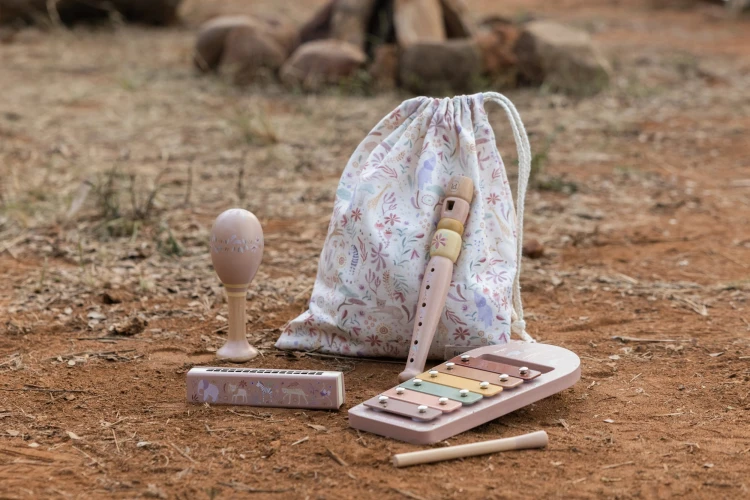 music-set-pink-safari-friends-LD7474-2 - Large2.jpg