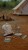 music-set-green-safari-friends-LD7473-1 - Large3.jpg