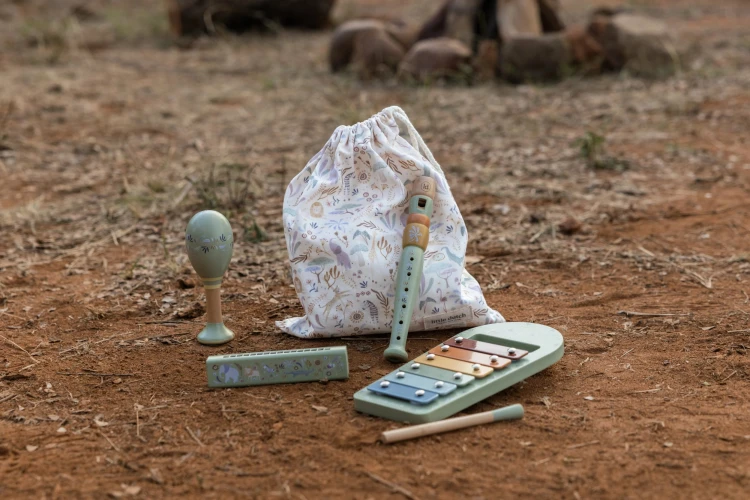 music-set-green-safari-friends-LD7473-2 - Large.jpg