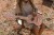 wooden-guitar-pink-safari-friends-LD7471-2 - Large1.jpg